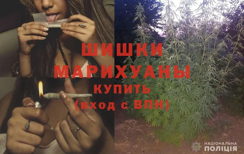 Марихуана Ganja  купить наркотики цена  Олонец 